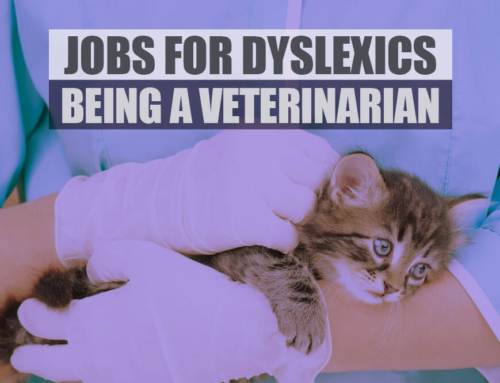 Jobs for Dyslexics | Veterinary Surgeon – Judy Puddifoot
