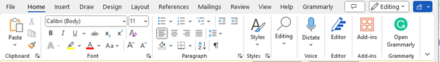 Image of the Microsoft Word Toolbar